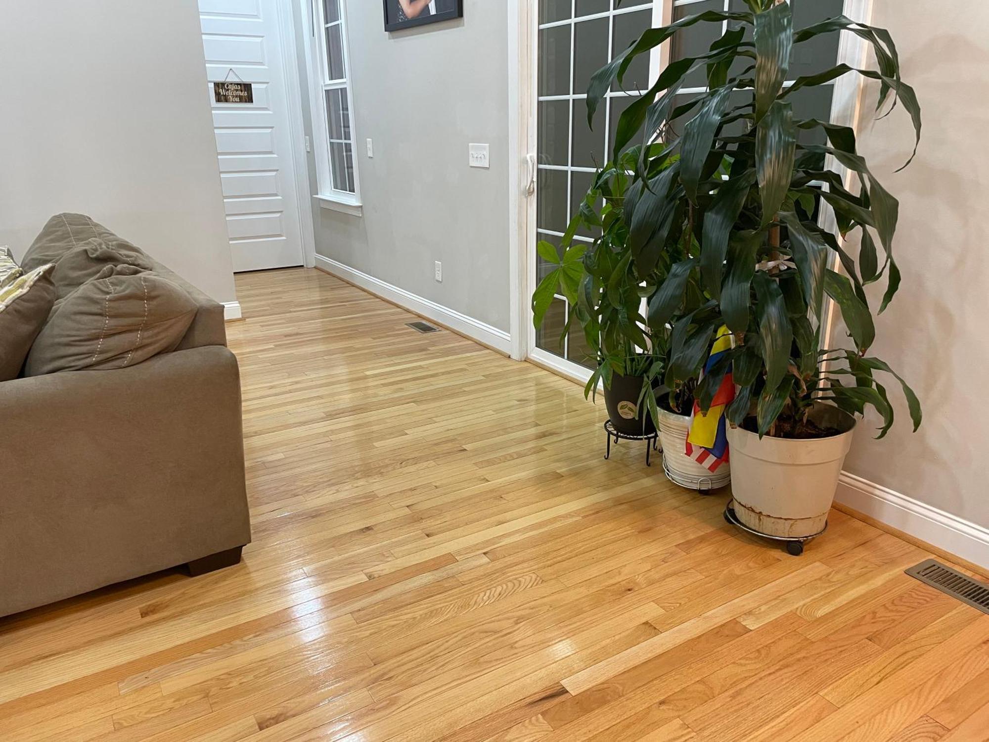 דירות Whitsett La Casa Grande Hosting מראה חיצוני תמונה